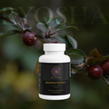 RYOSHA METABOLIC — Berberine HCL Metabolic Wellness Formula