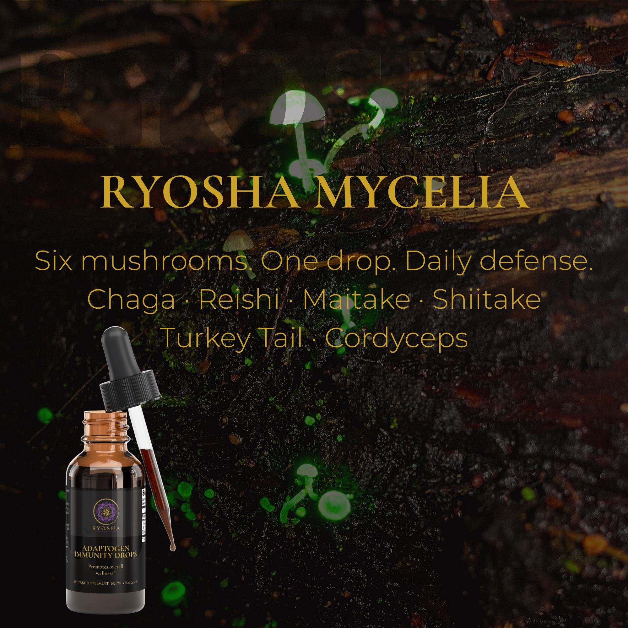 RYOSHA MYCELIA — Adaptogen Immunity Drops