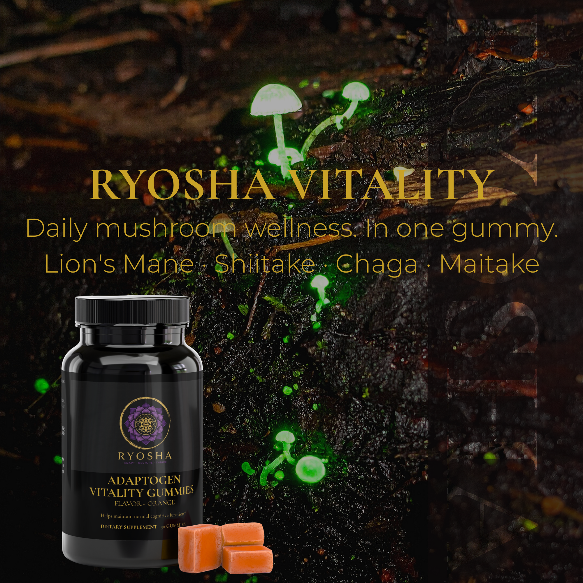 RYOSHA VITALITY — Adaptogen Vitality Gummies