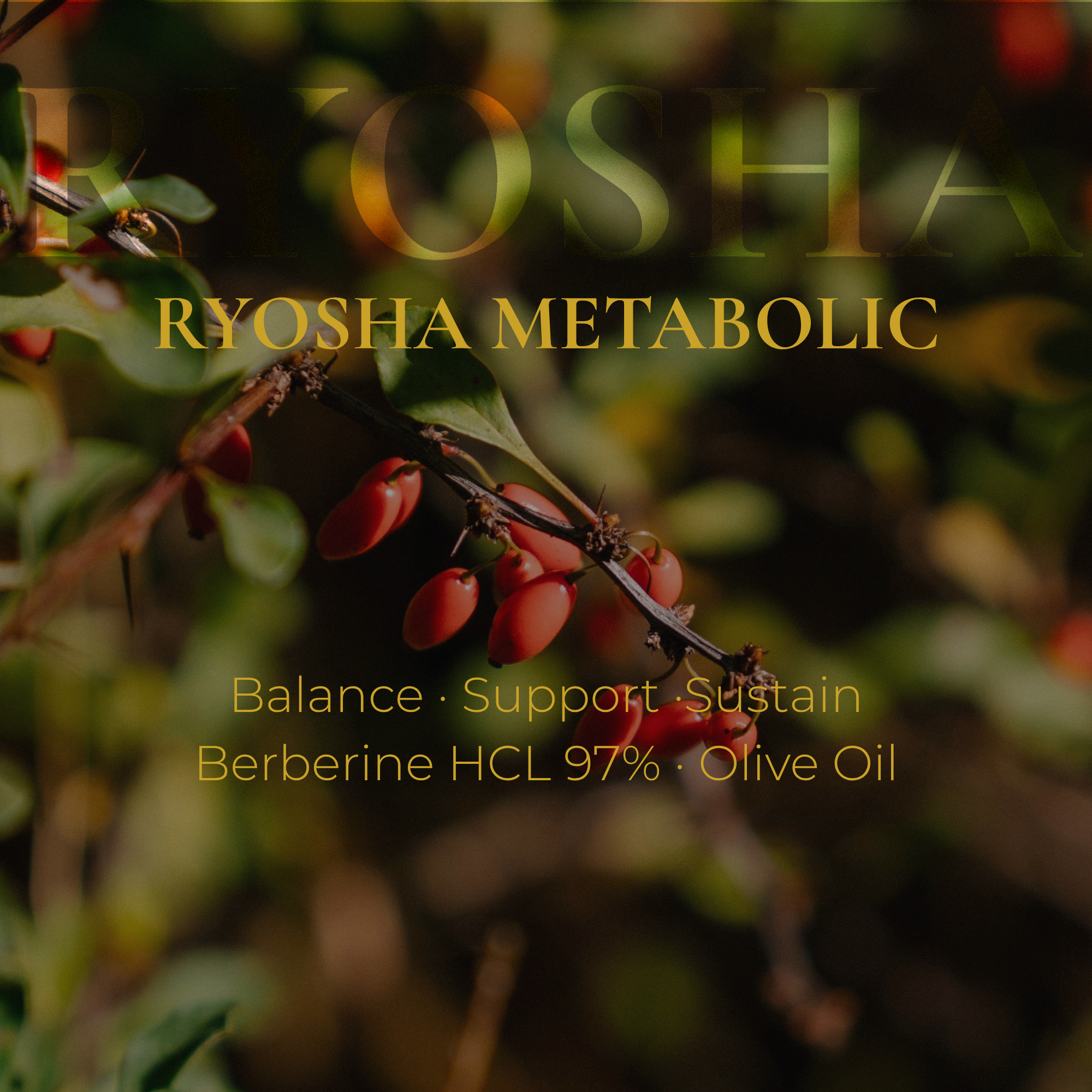 RYOSHA METABOLIC — Berberine HCL Metabolic Wellness Formula