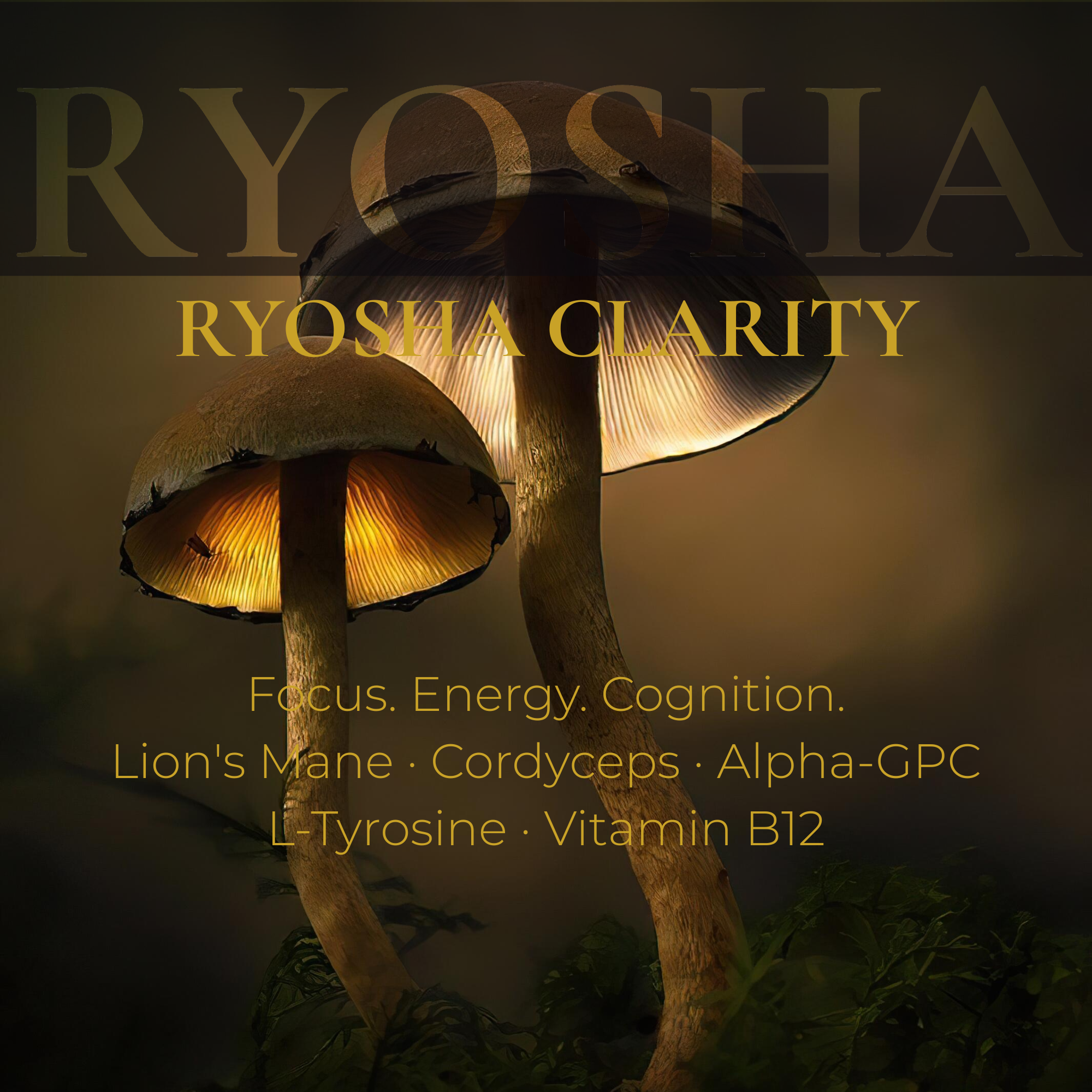 RYOSHA CLARITY — Mushroom Energy & Cognition Drops