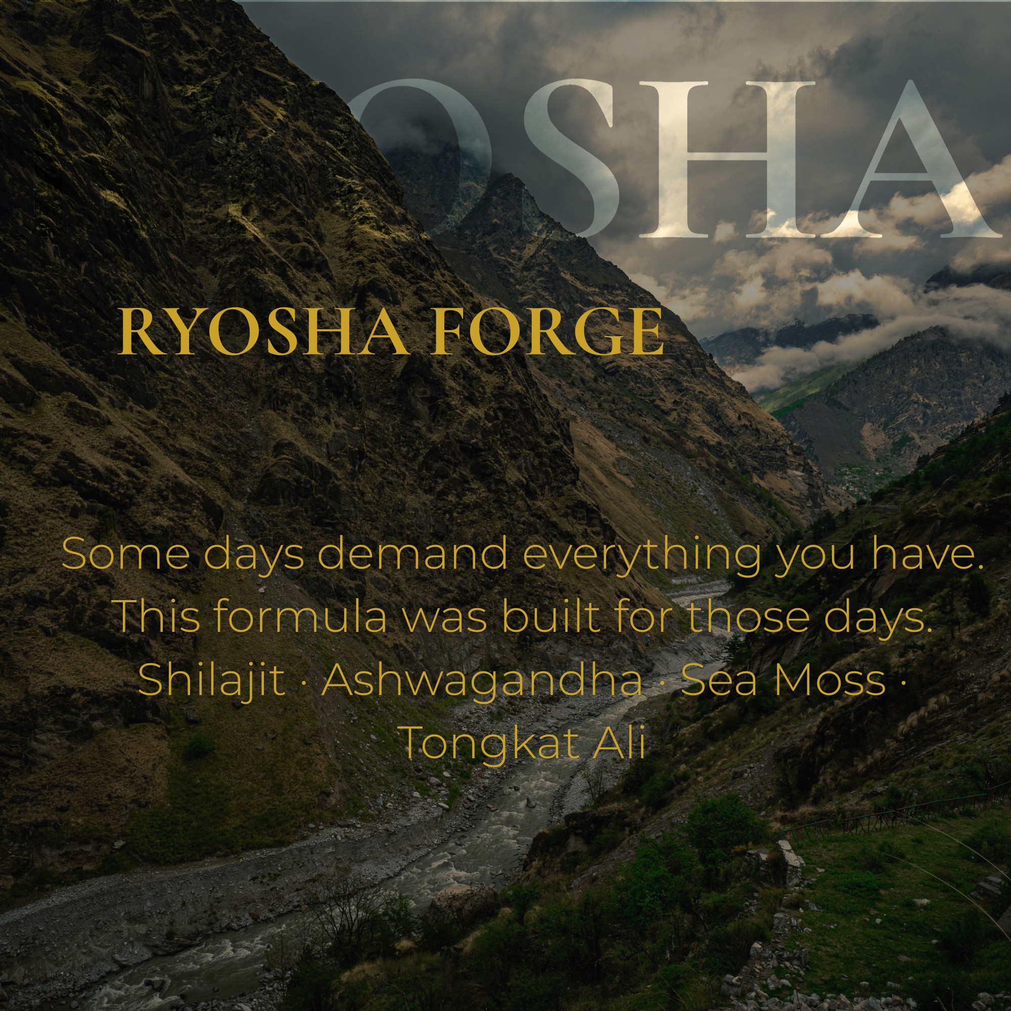 RYOSHA FORGE — Shilajit Adaptogen Complex