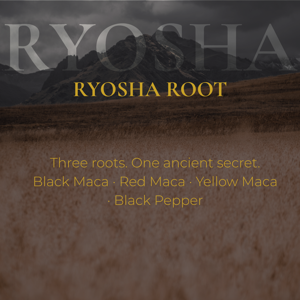 RYOSHA ROOT — Triple Maca Plus
