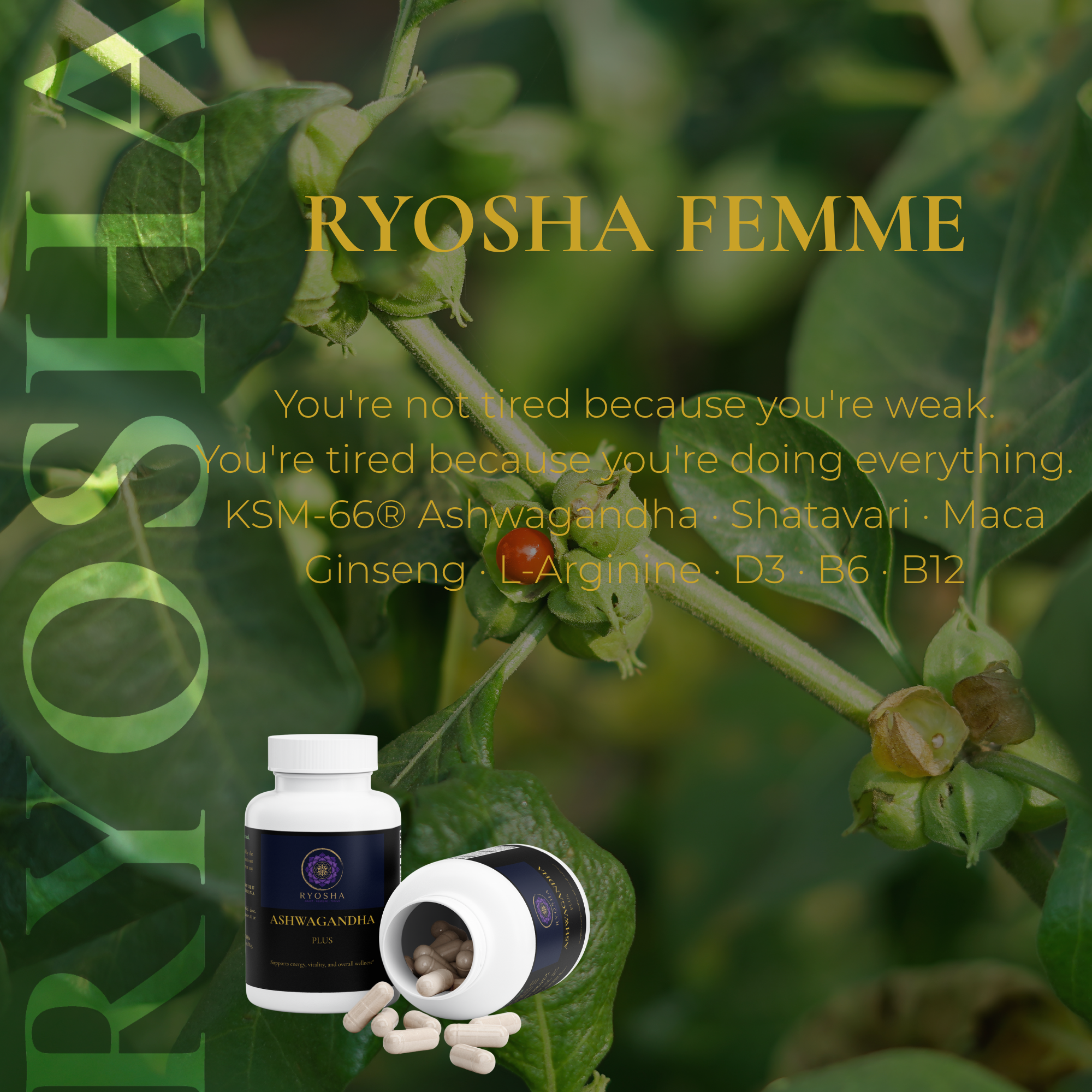 RYOSHA FEMME — Ashwagandha Plus