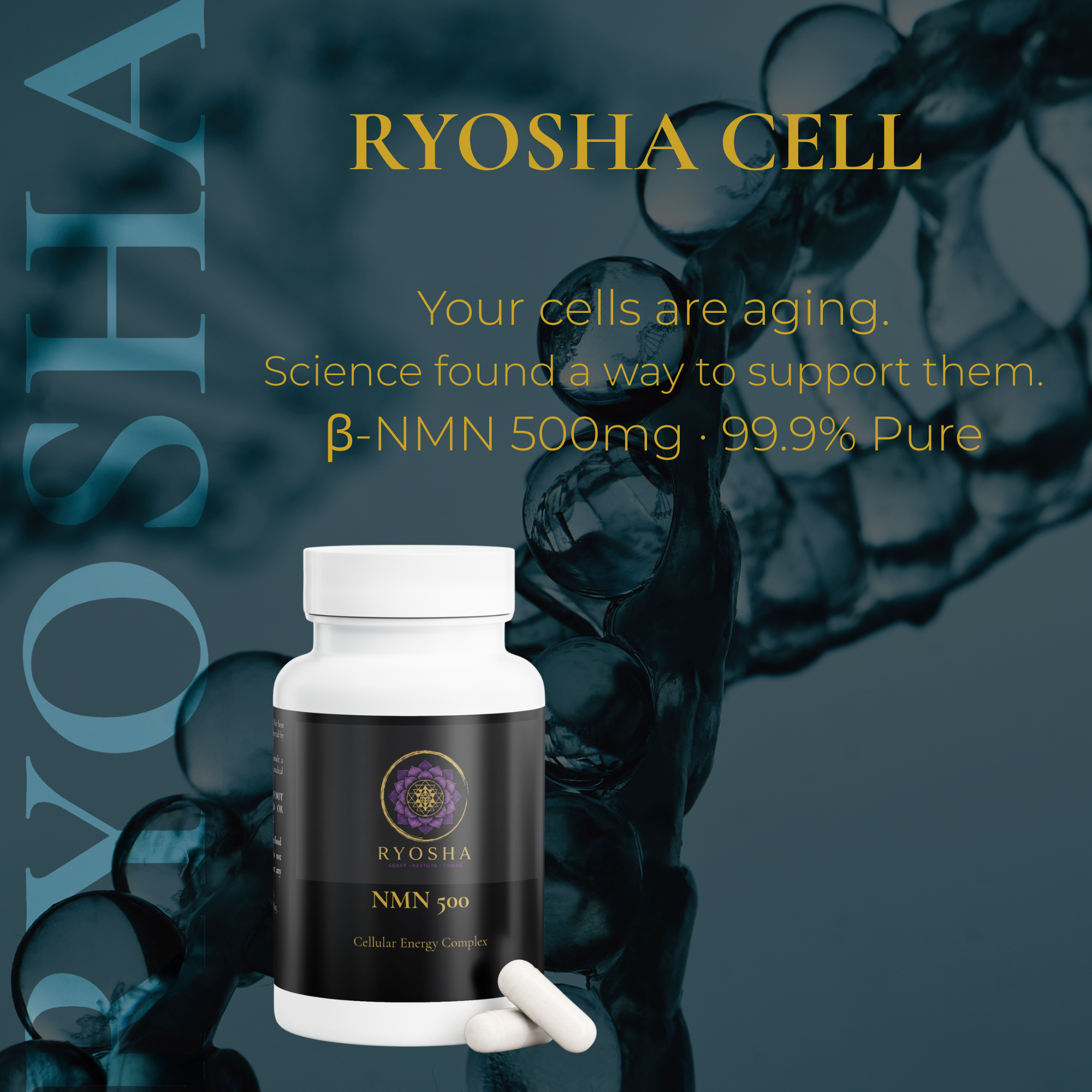 RYOSHA CELL — NMN 500 Cellular Energy Complex