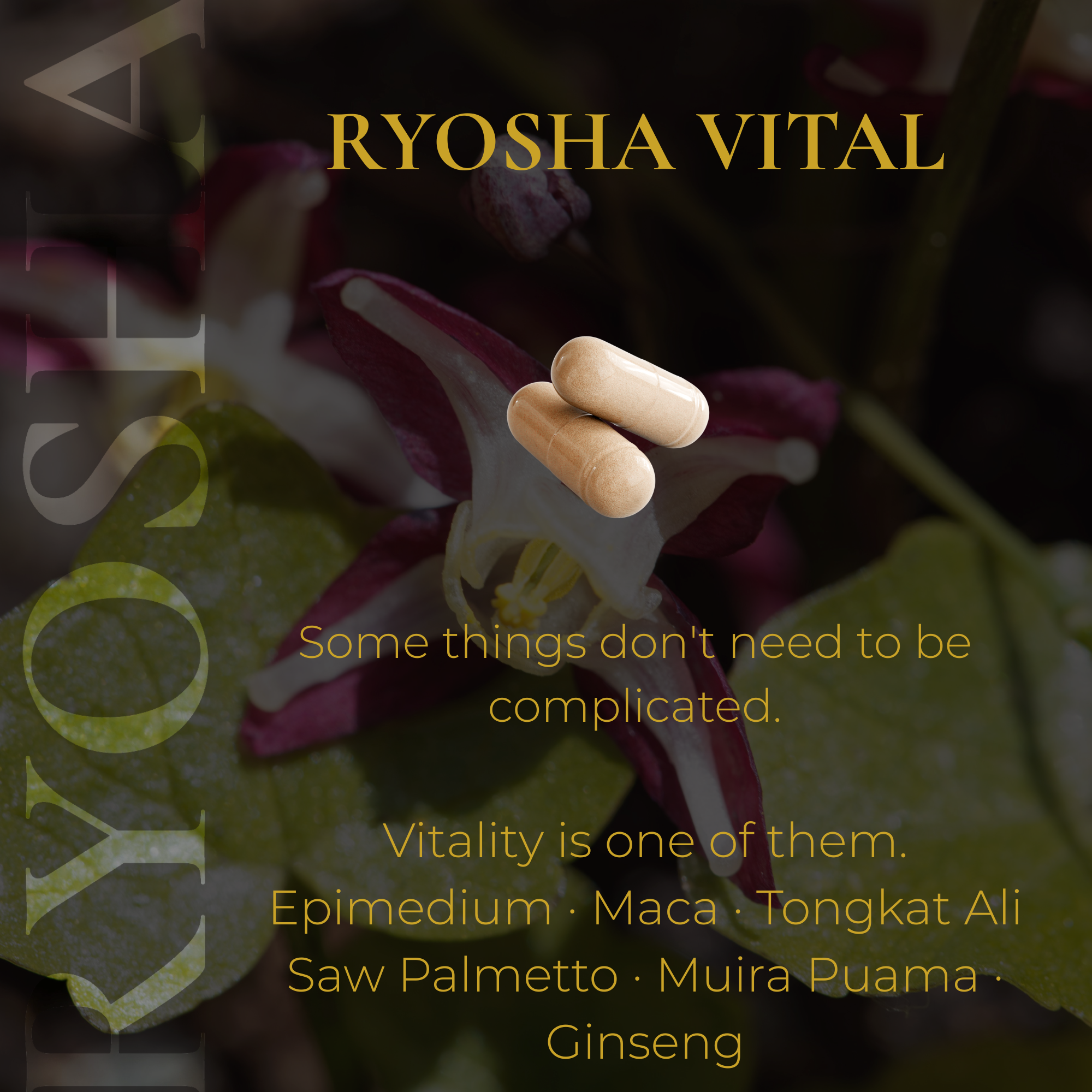 RYOSHA VITAL — Ancient Vitality Complex