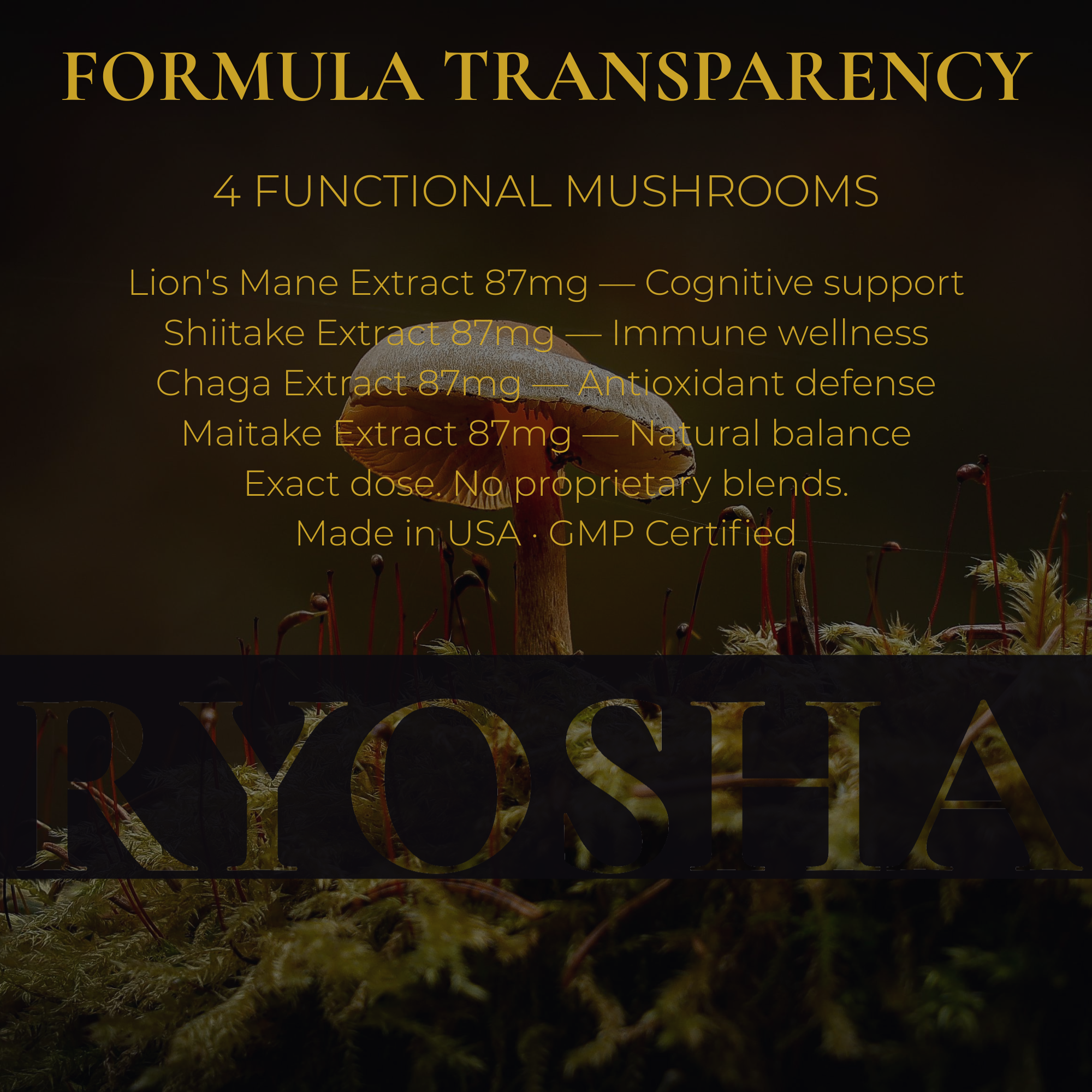 RYOSHA VITALITY — Adaptogen Vitality Gummies
