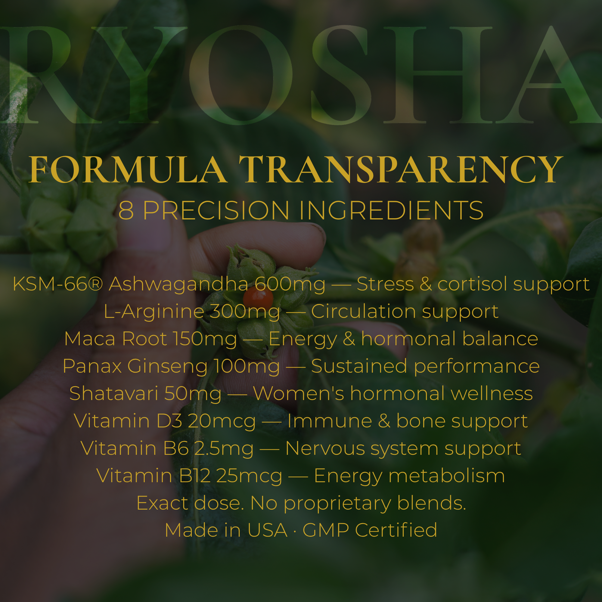 RYOSHA FEMME — Ashwagandha Plus