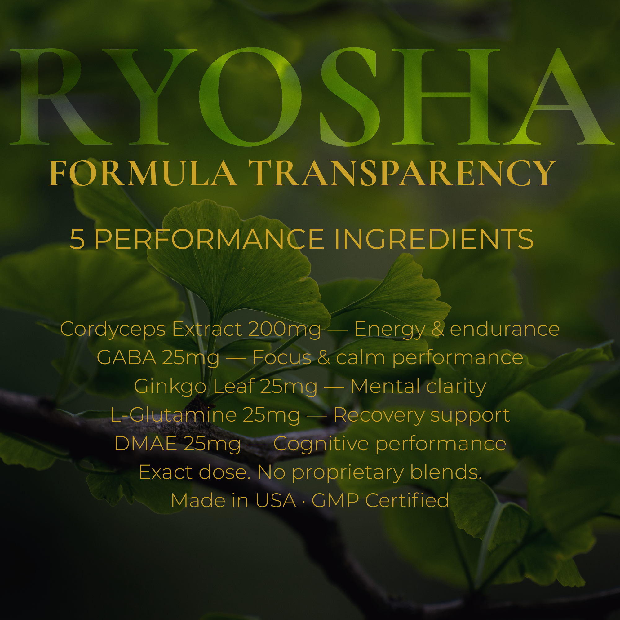 RYOSHA ENERGY — Cordyceps Energy Gummies