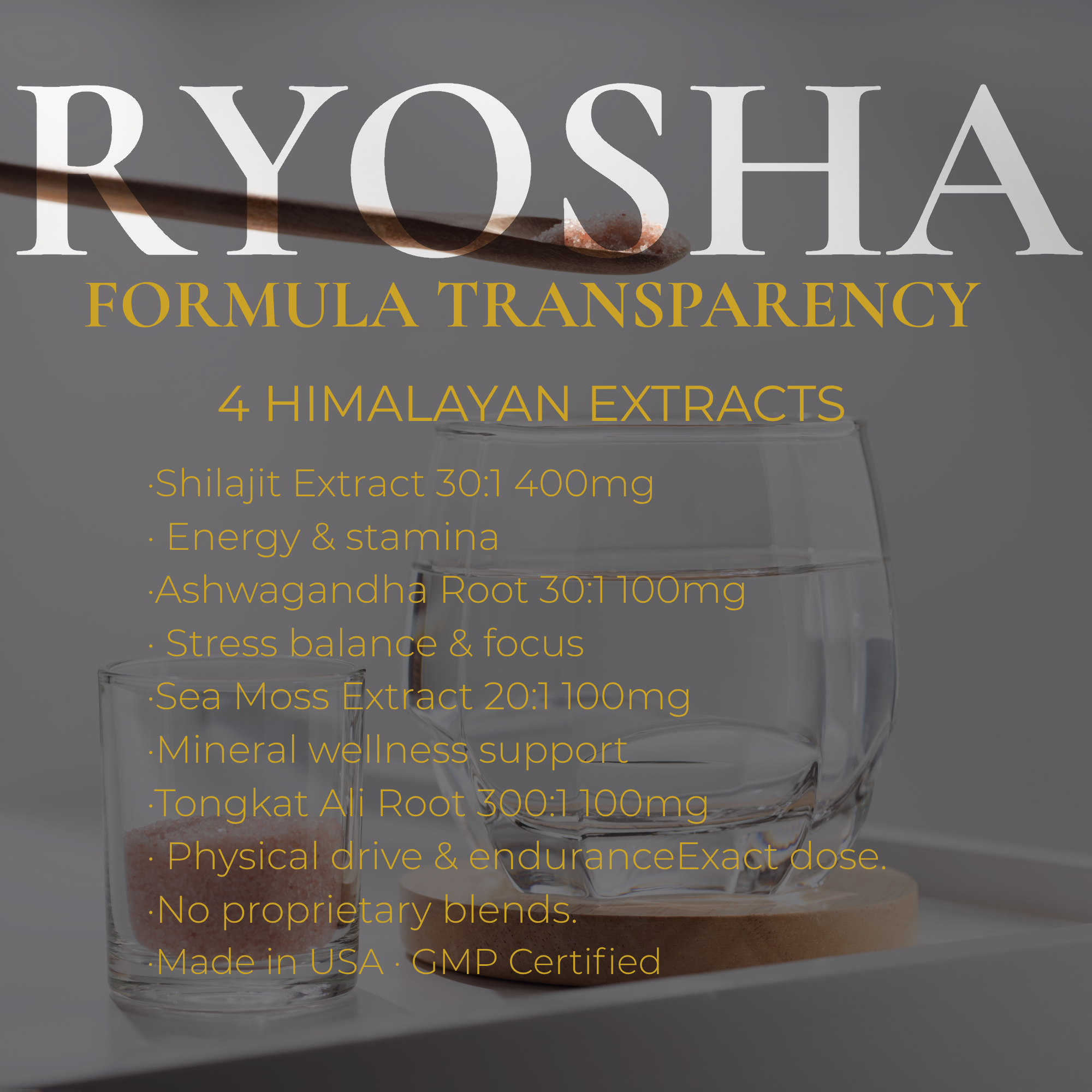 RYOSHA FORGE — Shilajit Adaptogen Complex