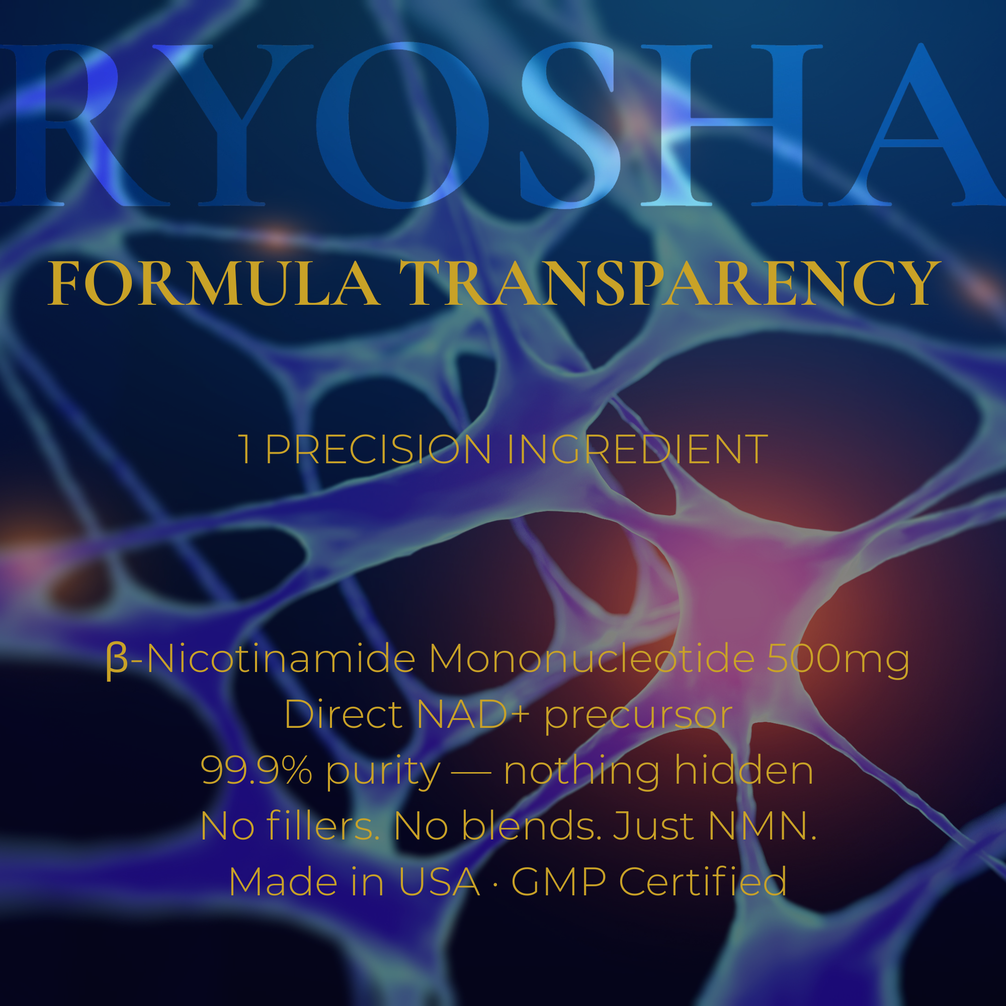 RYOSHA CELL — NMN 500 Cellular Energy Complex