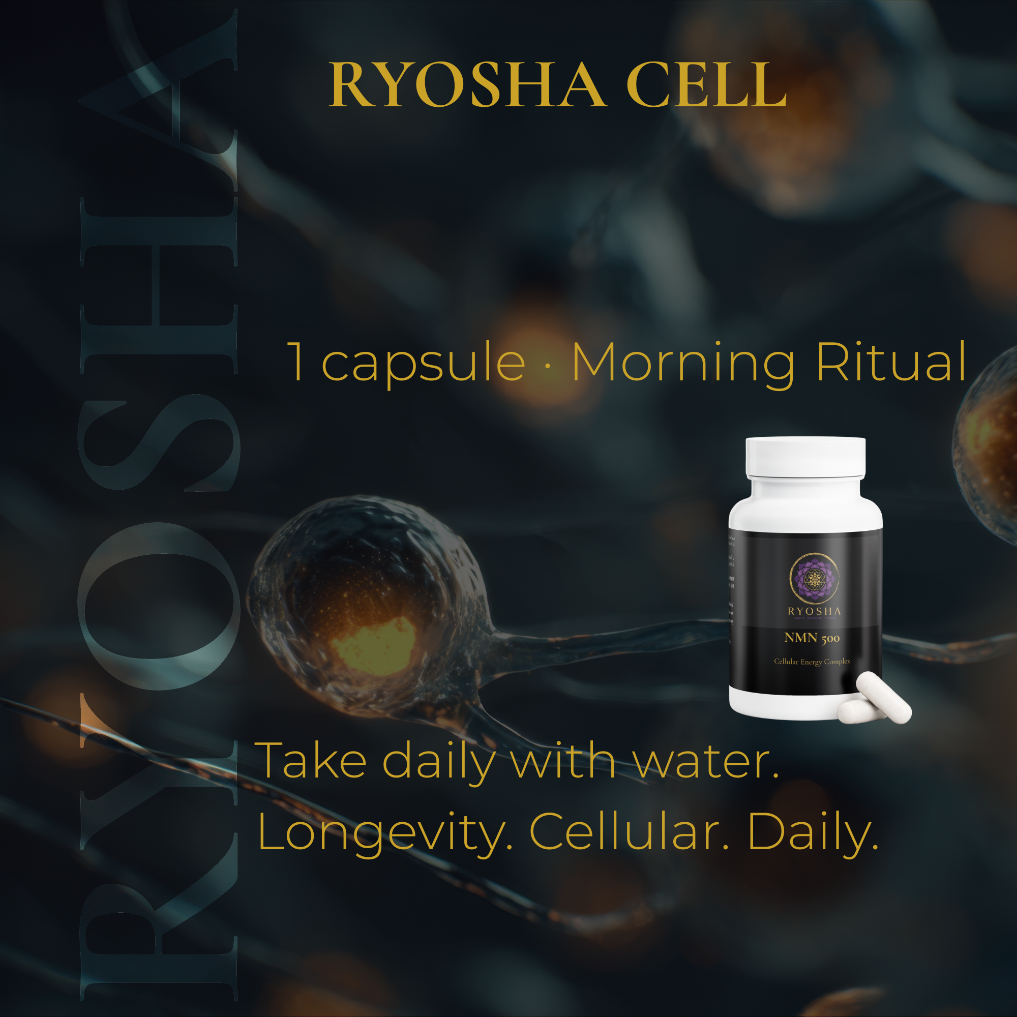 RYOSHA CELL — NMN 500 Cellular Energy Complex
