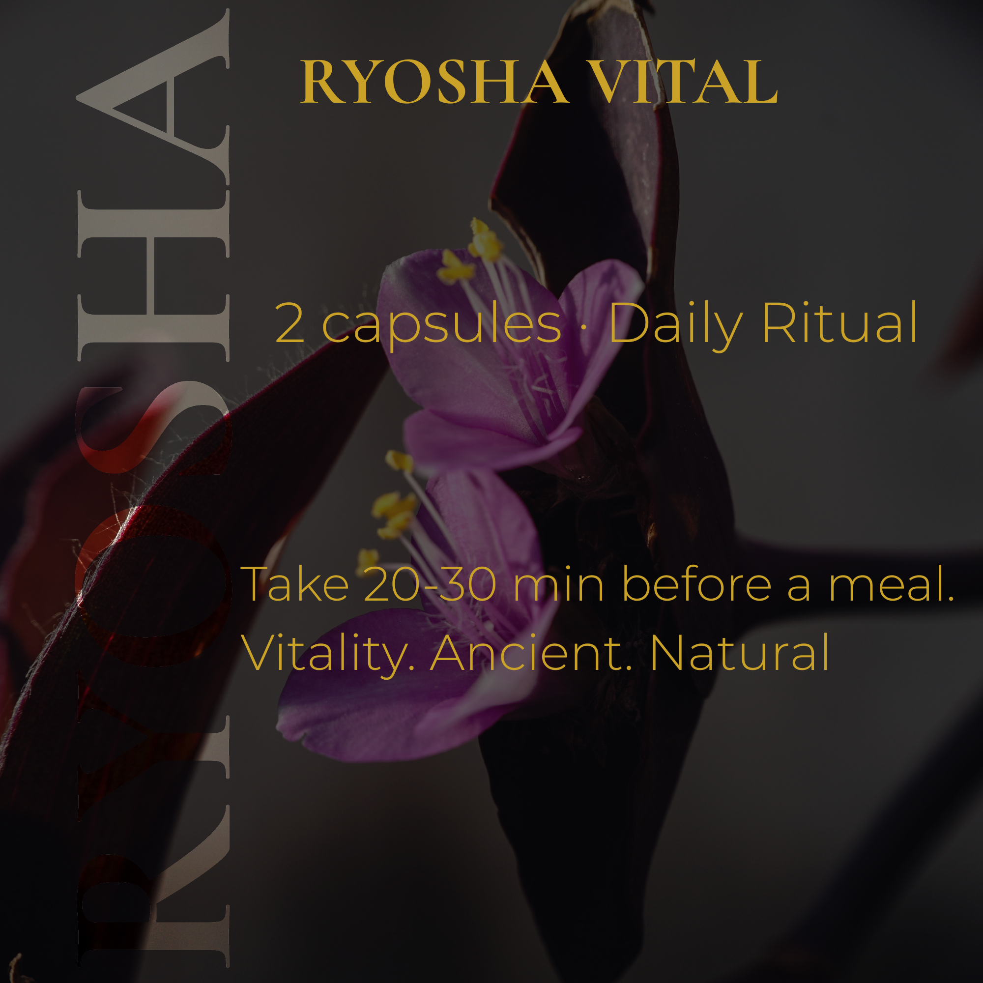 RYOSHA VITAL — Ancient Vitality Complex