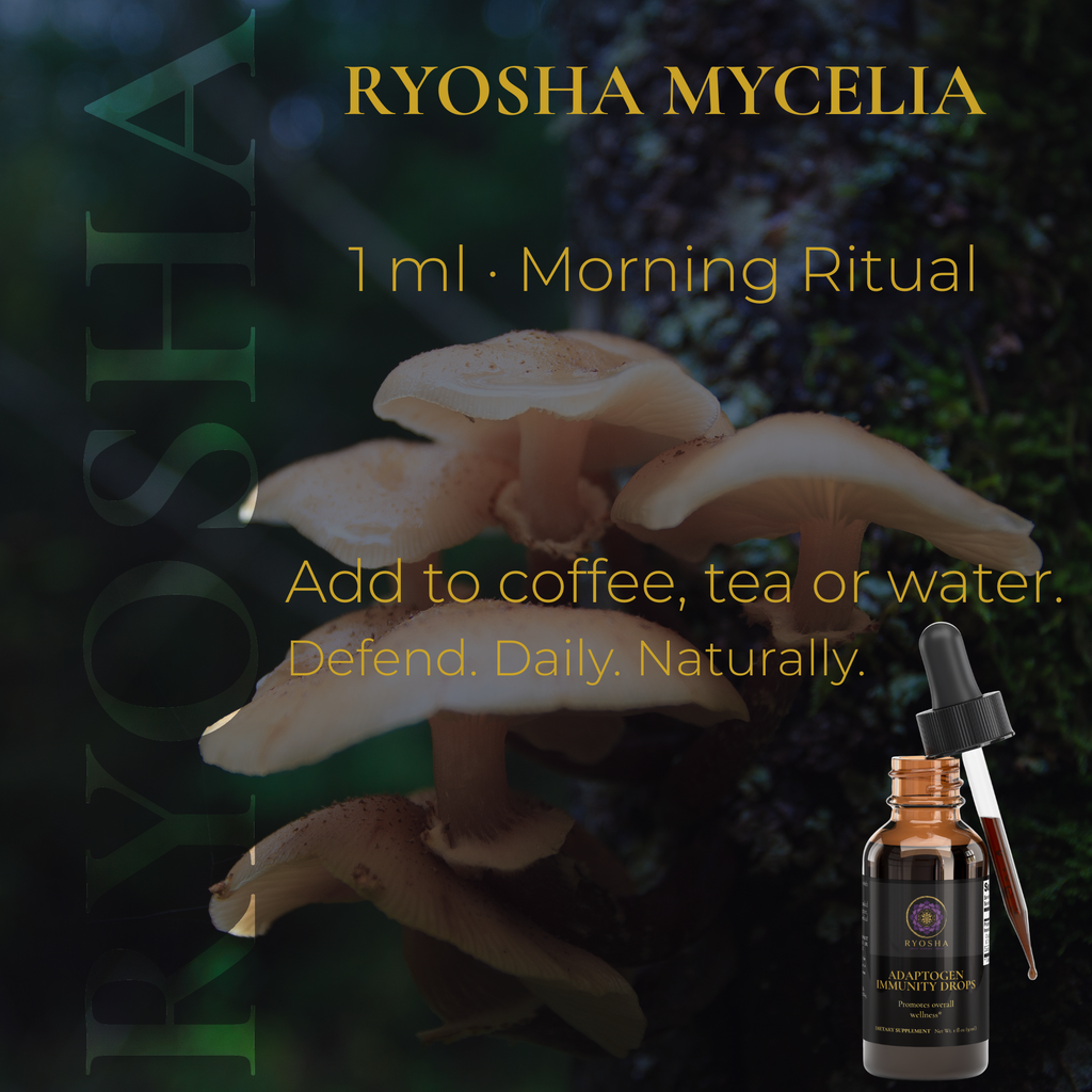 RYOSHA MYCELIA — Adaptogen Immunity Drops