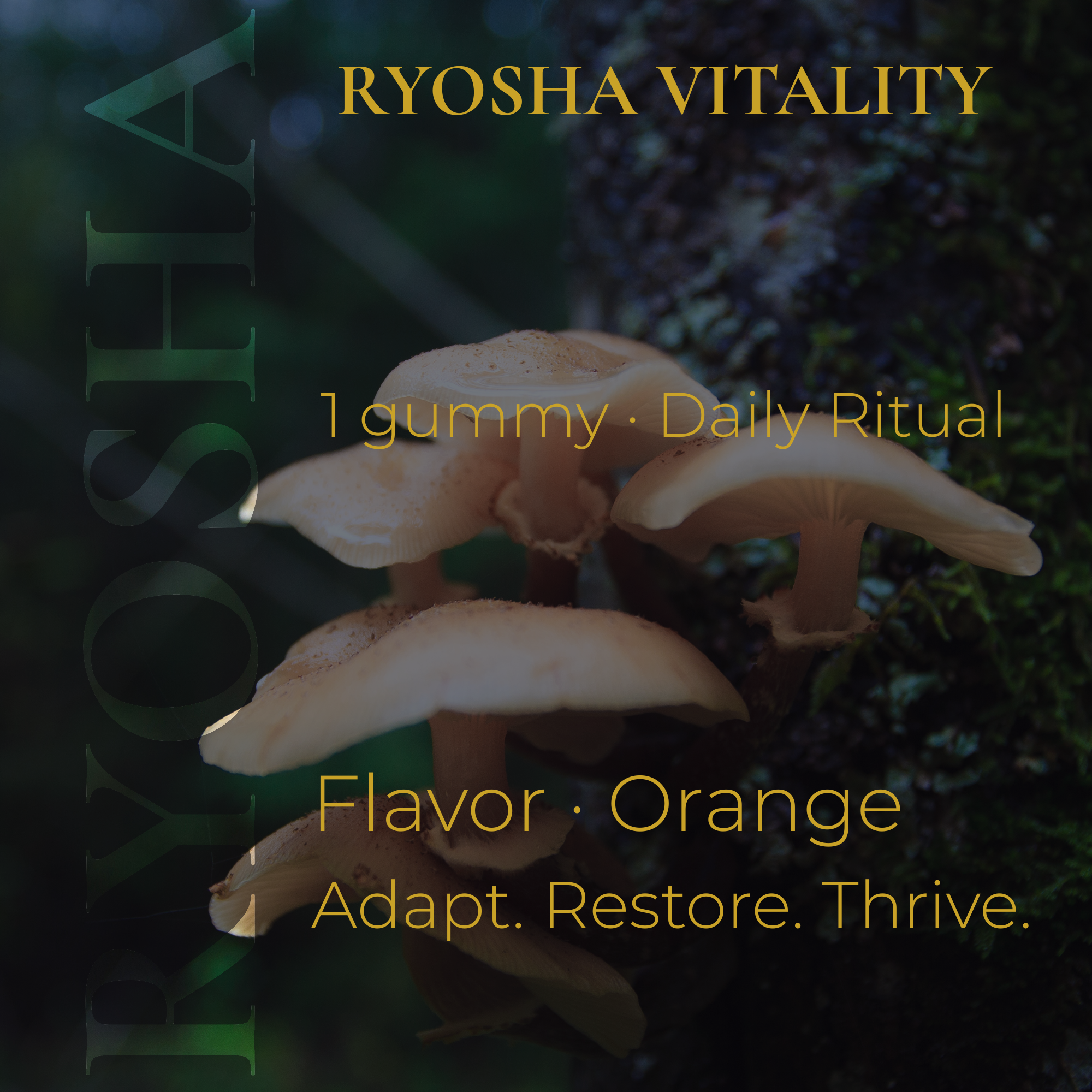 RYOSHA VITALITY — Adaptogen Vitality Gummies