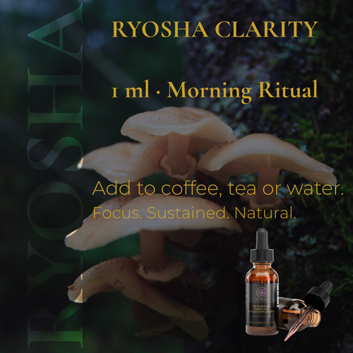 RYOSHA CLARITY — Mushroom Energy & Cognition Drops