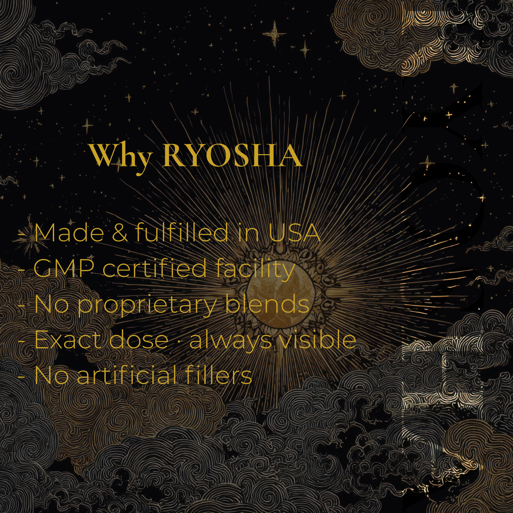 RYOSHA CELL — NMN 500 Cellular Energy Complex