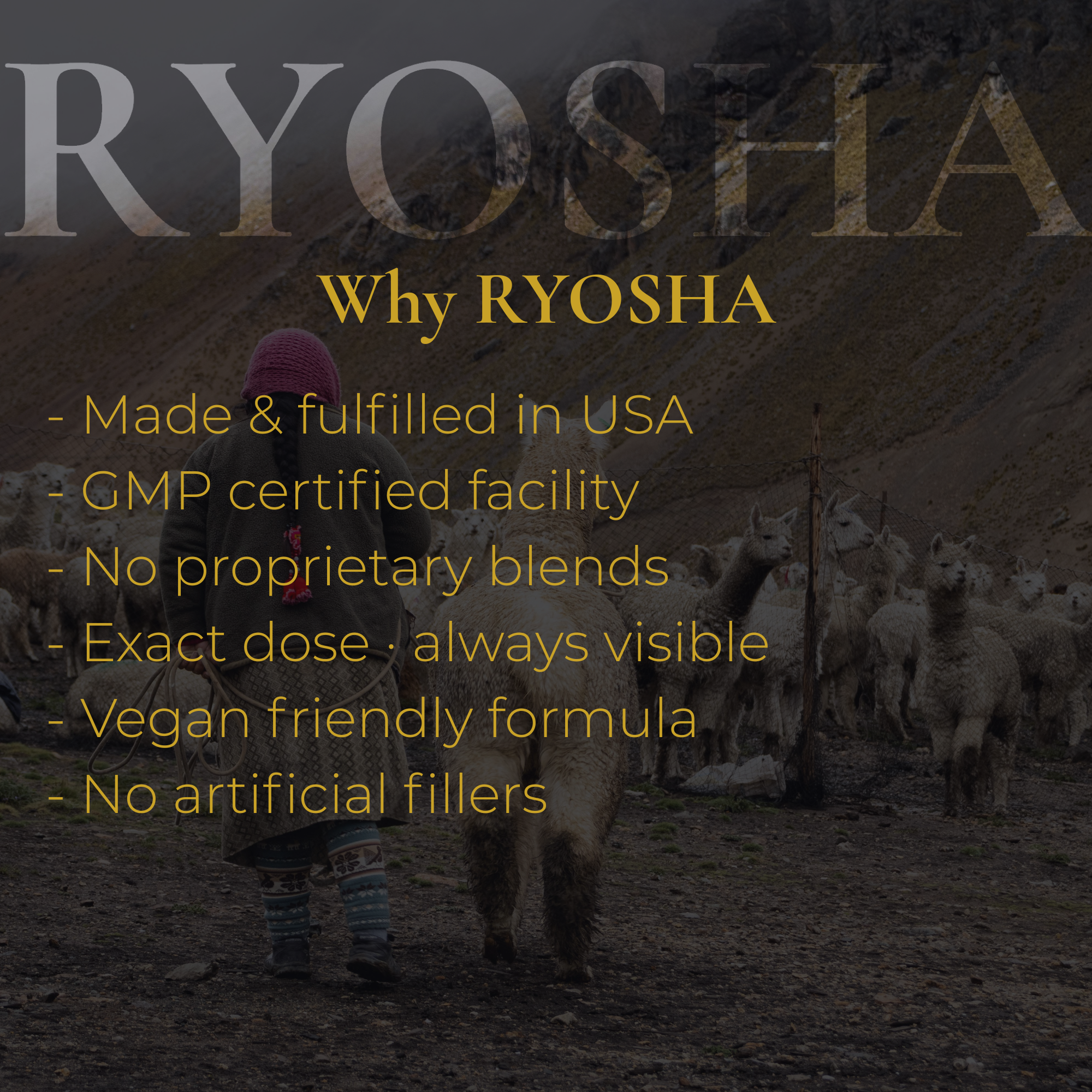 RYOSHA ROOT — Triple Maca Plus