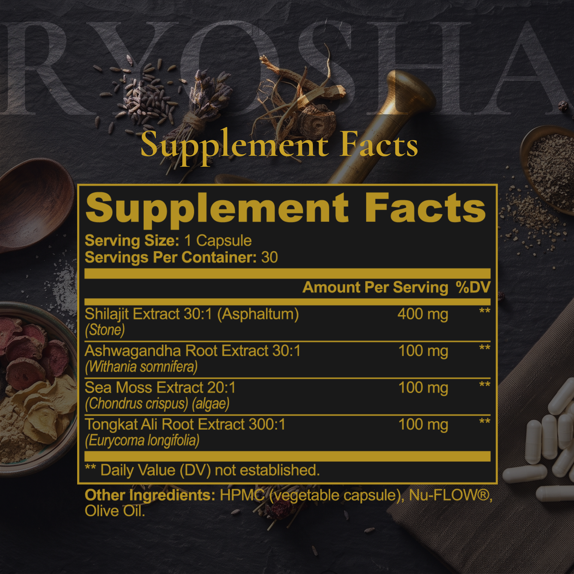 RYOSHA FORGE — Shilajit Adaptogen Complex