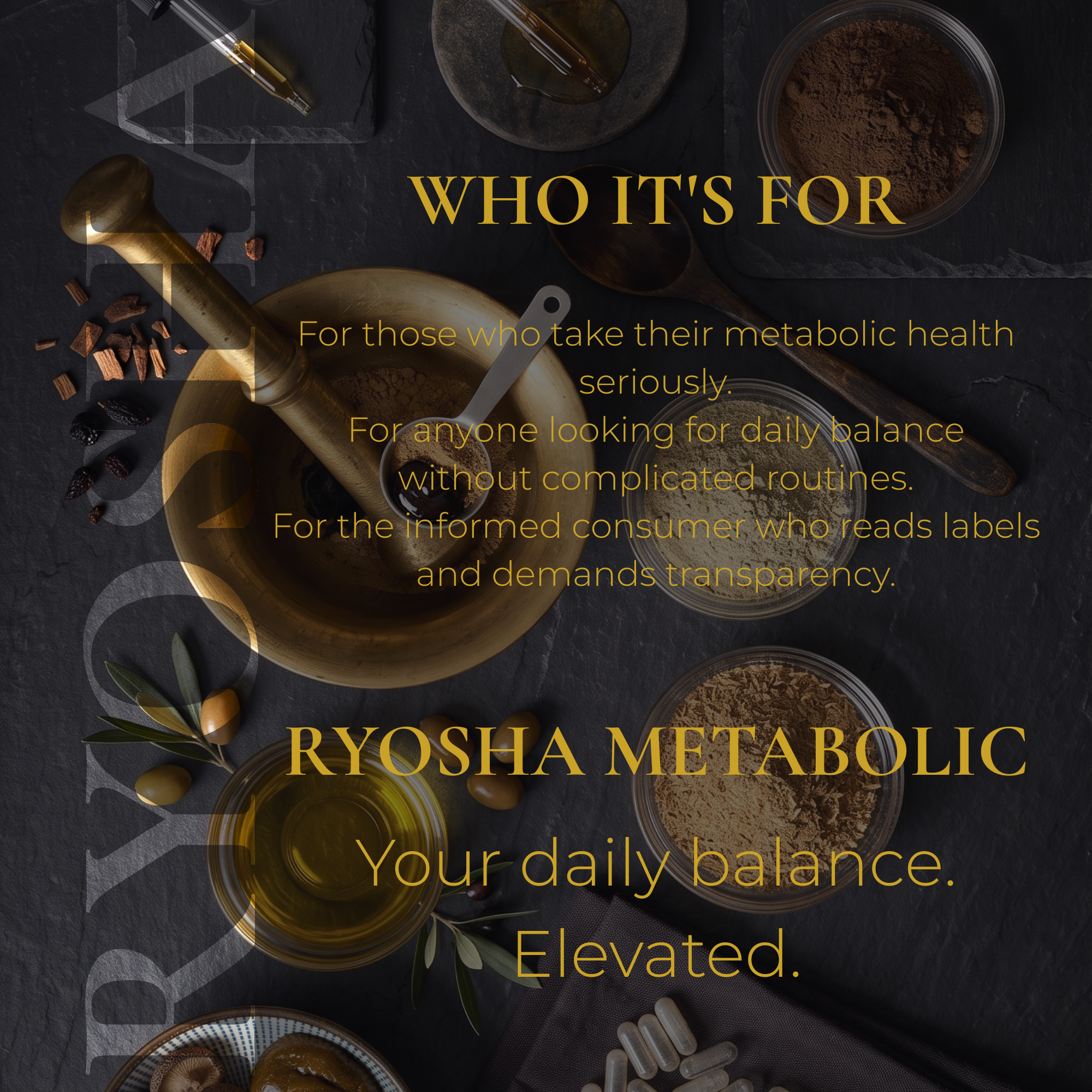 RYOSHA METABOLIC — Berberine HCL Metabolic Wellness Formula