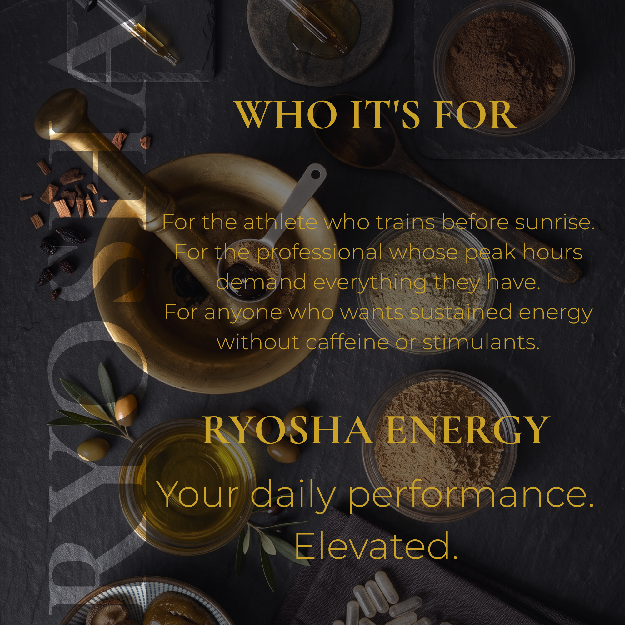 RYOSHA ENERGY — Cordyceps Energy Gummies
