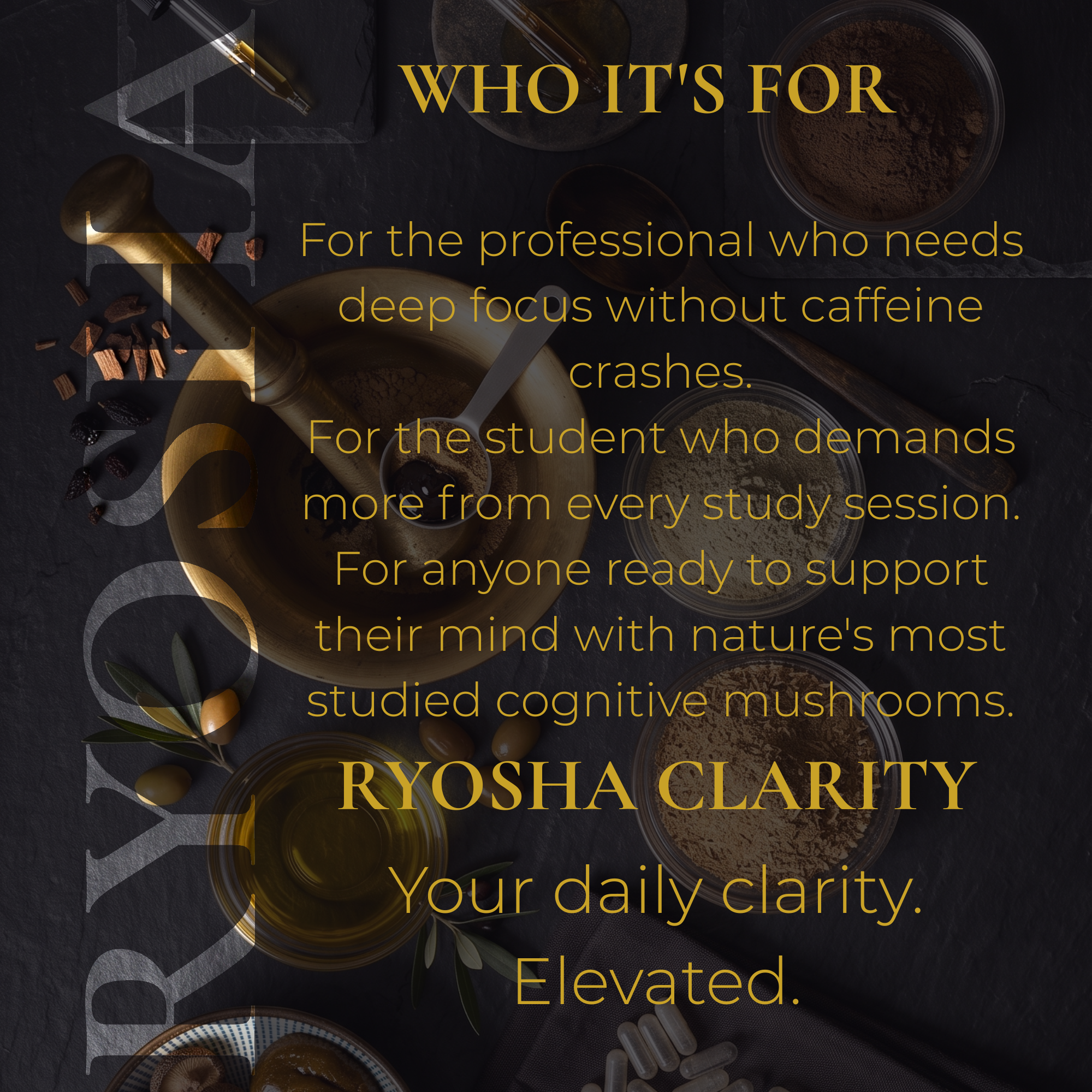 RYOSHA CLARITY — Mushroom Energy & Cognition Drops