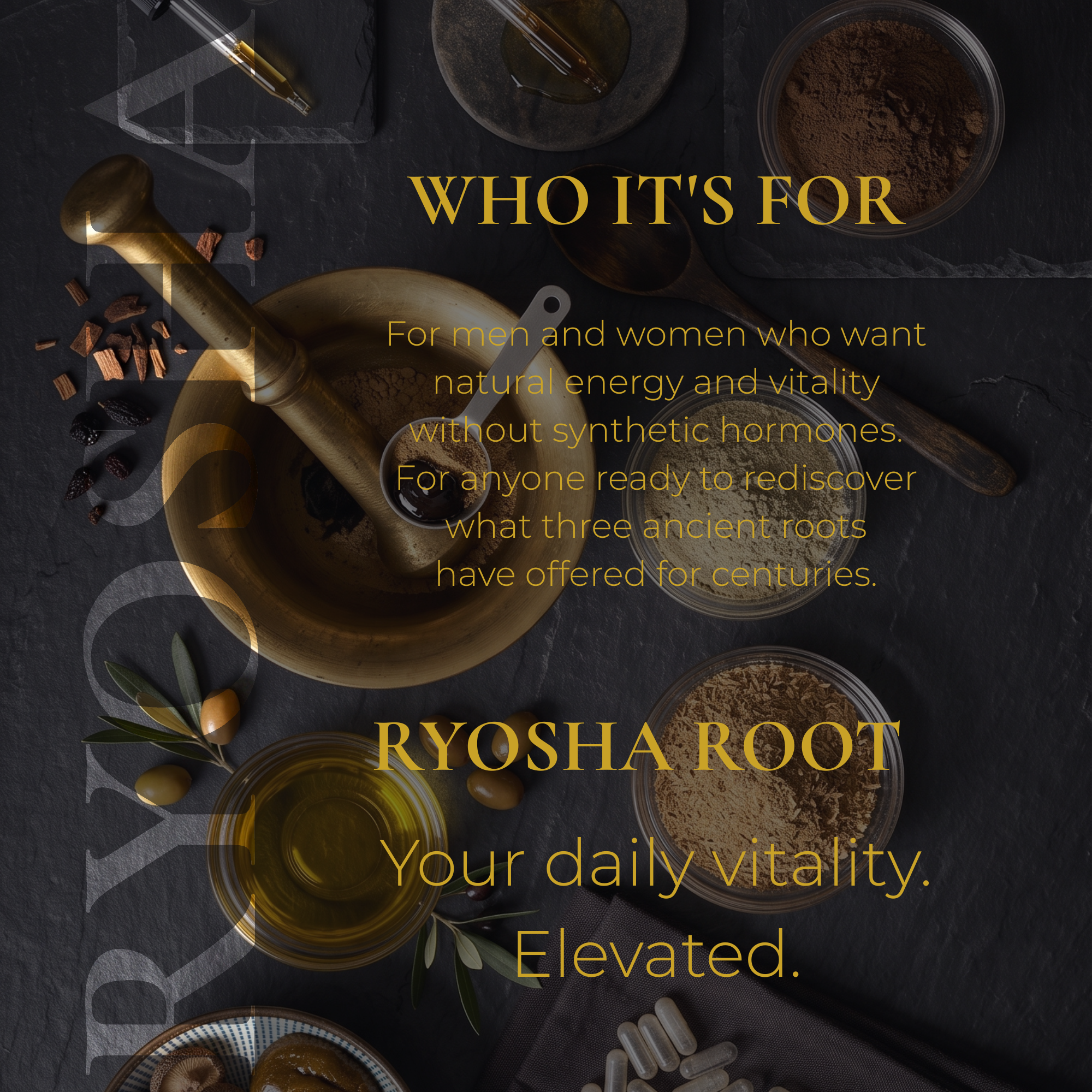 RYOSHA ROOT — Triple Maca Plus