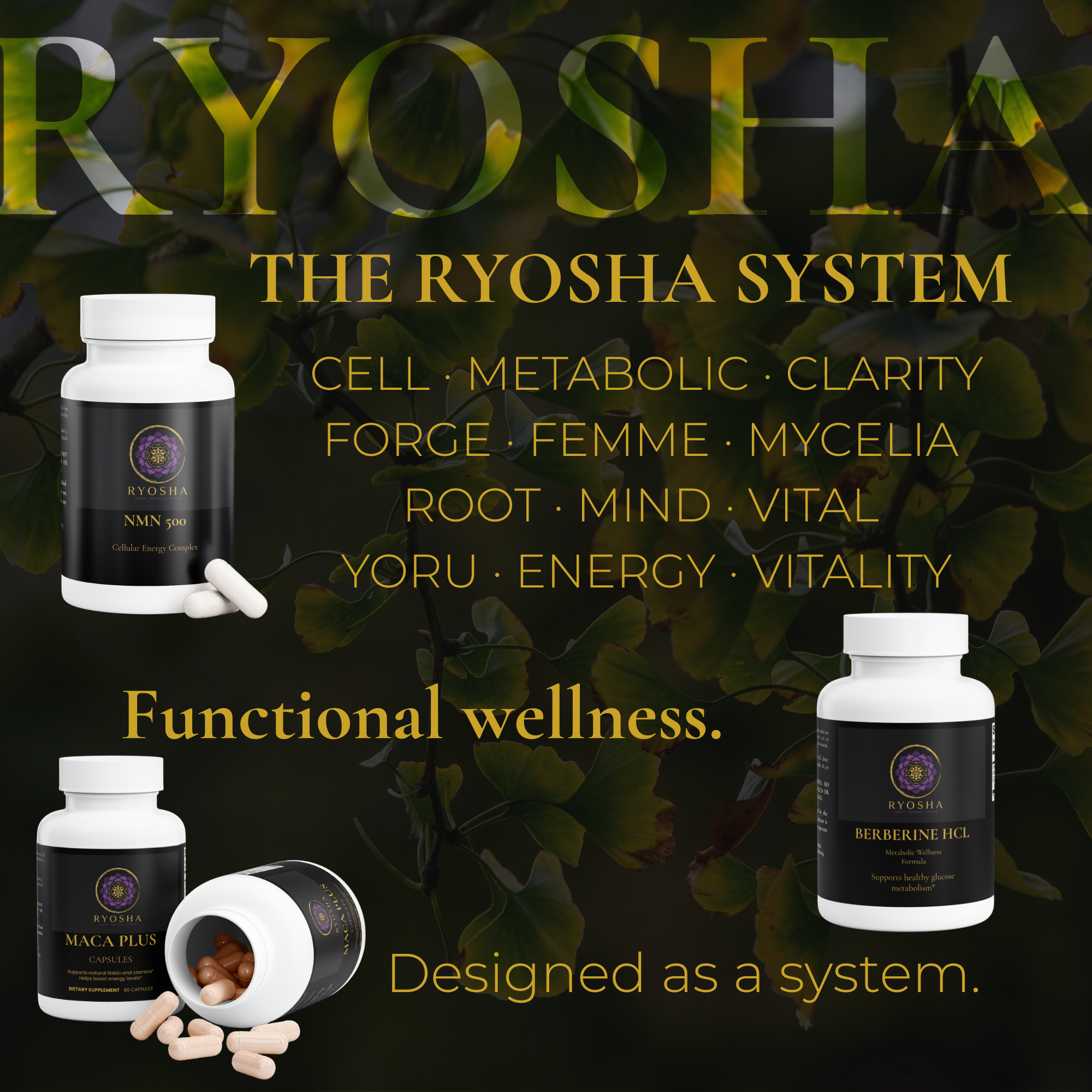 RYOSHA METABOLIC — Berberine HCL Metabolic Wellness Formula
