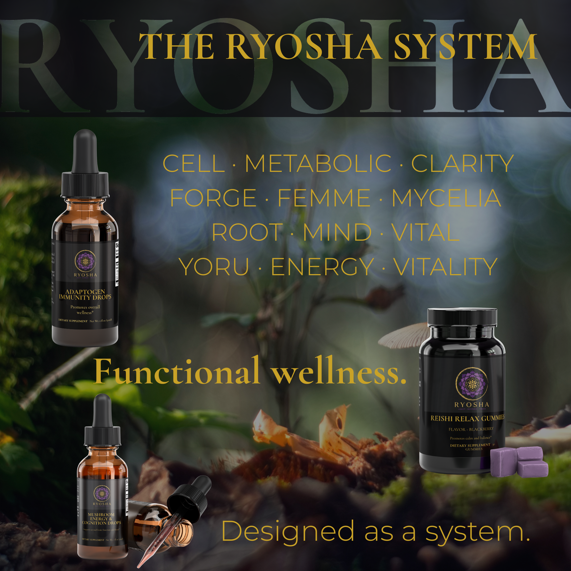 RYOSHA MYCELIA — Adaptogen Immunity Drops