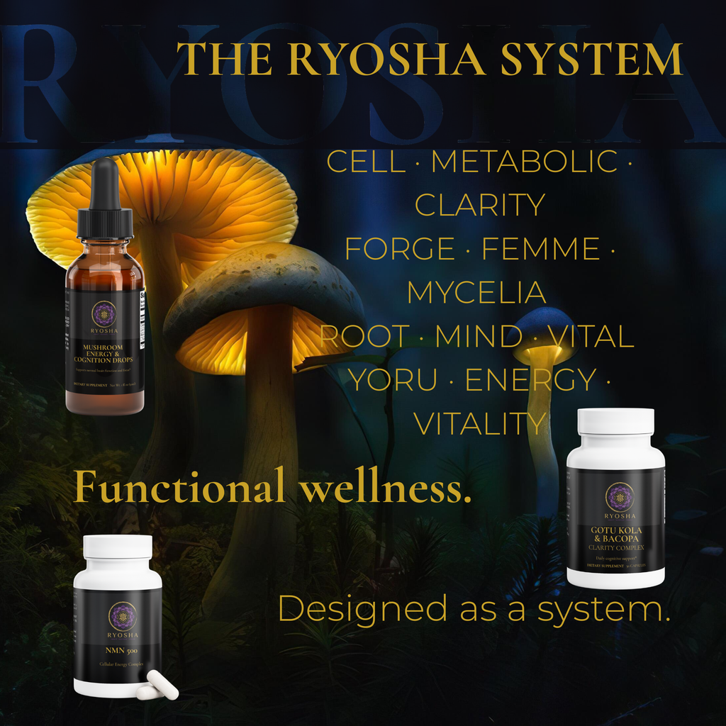 RYOSHA CLARITY — Mushroom Energy & Cognition Drops