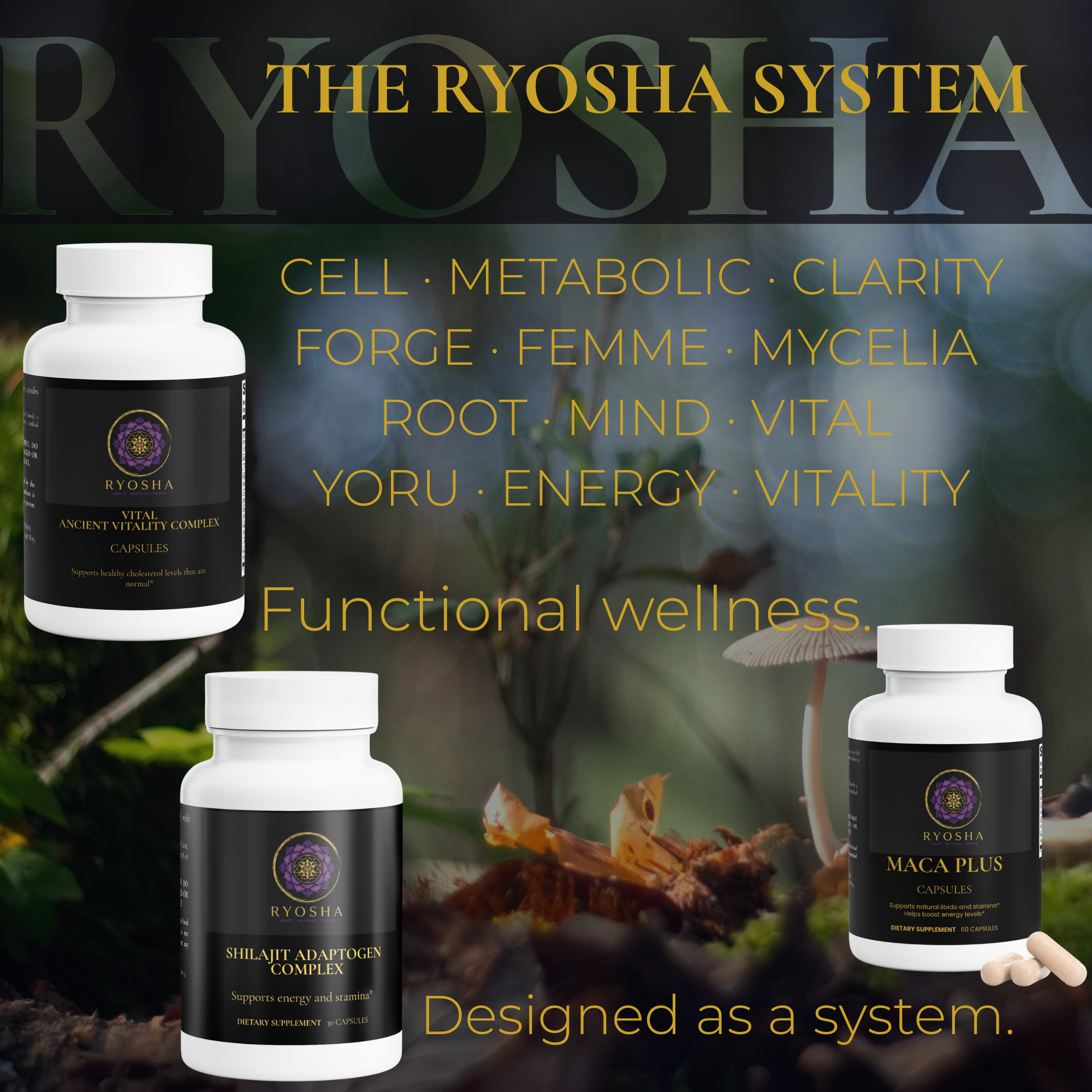RYOSHA VITAL — Ancient Vitality Complex
